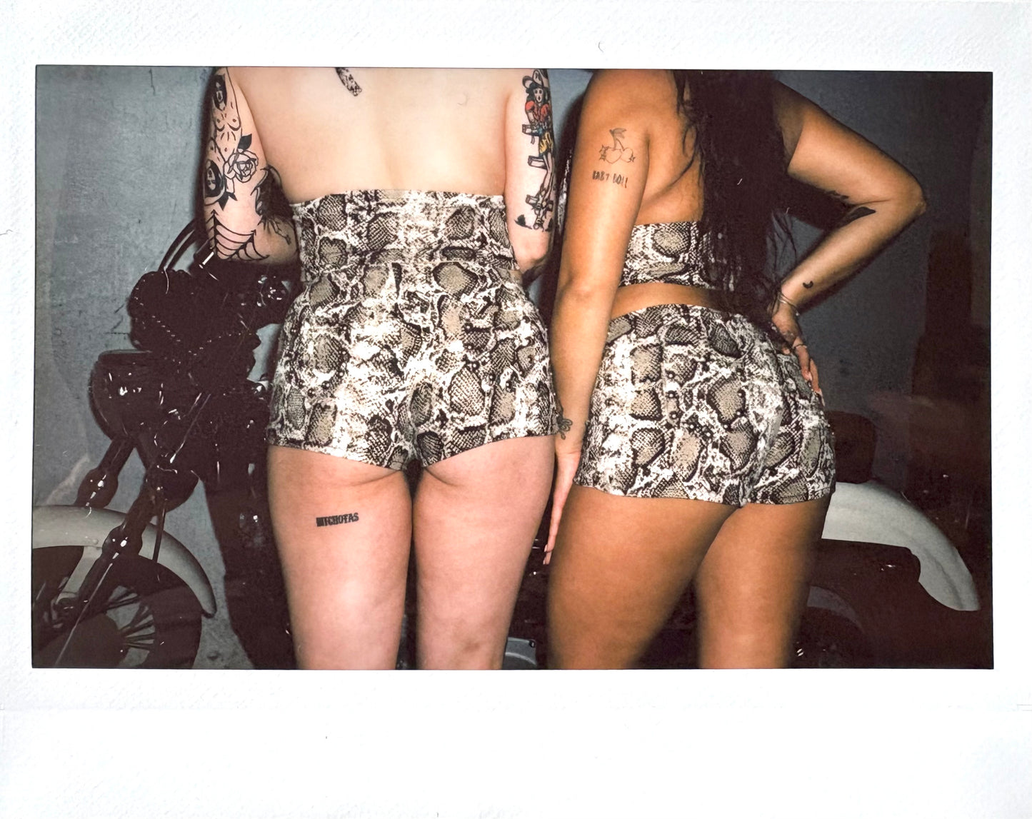 bardot shorts in snake